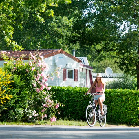 Tour Opérateur et particuliers sur camping Domaine de Kerlann - Funpass offert - Camping Finistère - Image N°6
